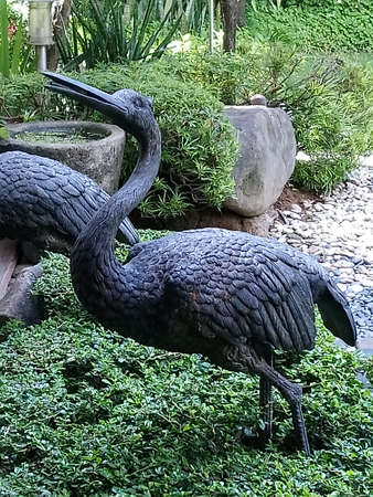 Bird figure and leaves in the garden landscaping use for outdoor decorationの写真素材