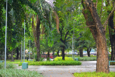 MANILA, PH - NOV 24 - Mehan garden outdoor park on November 24, 2018 in Manila, Philippines.のeditorial素材