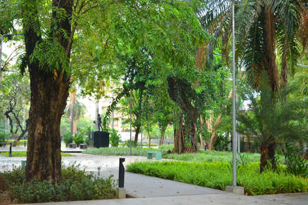 MANILA, PH - NOV 24 - Mehan garden outdoor park on November 24, 2018 in Manila, Philippines.のeditorial素材