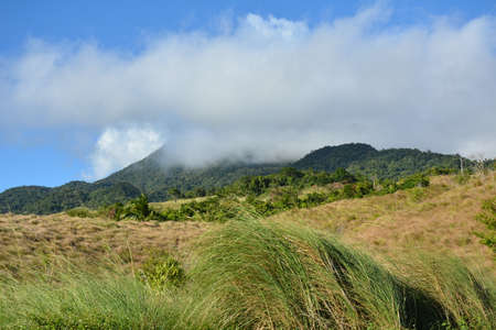 Mountain and trees scenic view at Dingalan, Aurora, Philippinesの写真素材