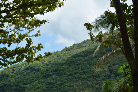 Mountain and trees scenic view during daytime in Dingalan, Aurora, Philippines