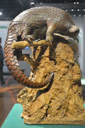 MANILA, PH - OCT 20 - National museum of natural history pangolin on October 20, 2018 in Manila, Philippines.のeditorial素材