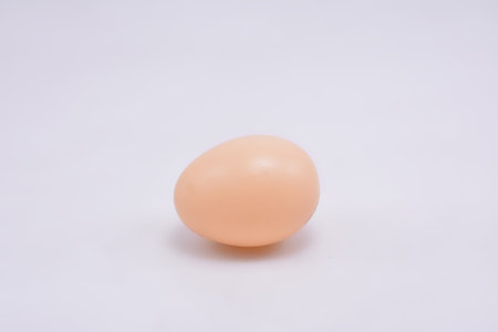 Small brown organic fresh egg toy for kids