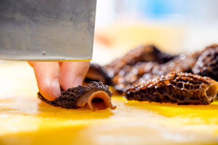 Fresh morel mushrooms being prepared for cooking in a home kitchen.の写真素材