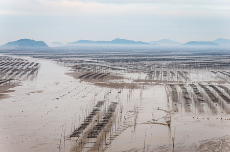 Beach breeding farm in Xiapu, Fujianの写真素材