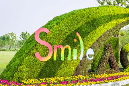 The symbol on the flower bed, smileの写真素材