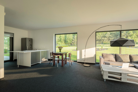 Spacious interior with open kitchen, dining set, sofa, small table and floor lampの写真素材
