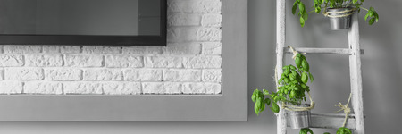 Close up of edge of tv and creatively renewed ladder with basil, panoramaの写真素材