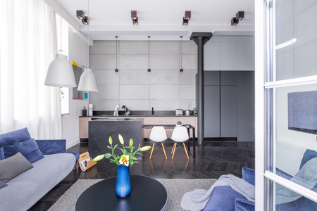 Open floor apartment with living room and kitchenetteの写真素材