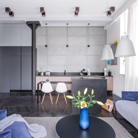 Open floor apartment with living room and kitchenetteの写真素材