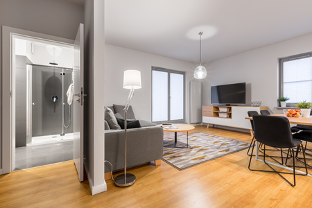 Bathroom, dining area and living room in the interior of modern flatの写真素材