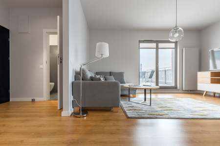 Modern living room with big hallway and bathroom doors openの写真素材