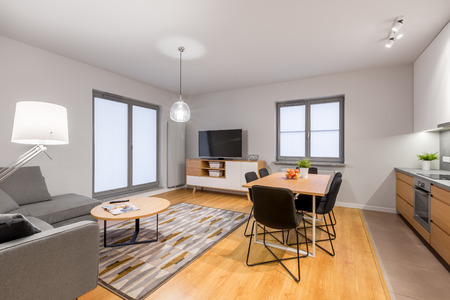 White loft apartment with living room and open kitchenの写真素材