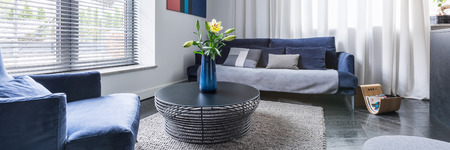 Bright living room with blue upholstered furniture, window with blinds and white curtain, panoramaの写真素材