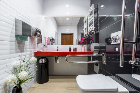 Black and white handicap bathroom with toilet, red countertop basin and safety grab barsの写真素材