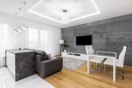 Gray and white, modern apartment with sofa, tv, chairs, table, cabinet, lampsの写真素材