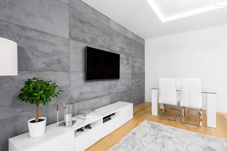 Modern living room with decorative concrete wall, tv, cabinet, table and chairsの写真素材
