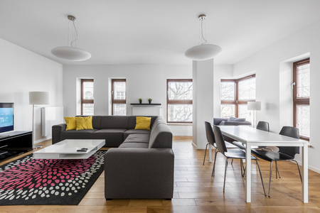 Modern apartment with dining and living room combinedの写真素材