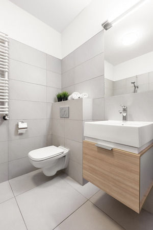 Bathroom with toilet, mirror and modern basin cabinetの写真素材