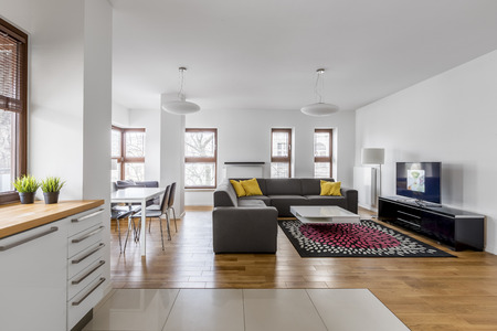 Modern apartment with open living room and kitchenetteの写真素材