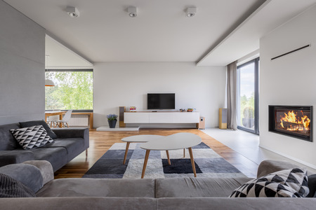 Gray and white, family living room with fireplace, tv and sofaの写真素材