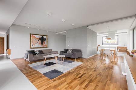 Modern apartment with open living room, kitchenette and dining areaの写真素材