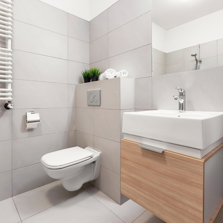 Bathroom with toilet, mirror and modern basin cabinetの写真素材