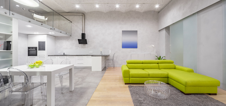 Modern loft interior in gray and white with mezzanine and green sofa, panoramaの写真素材
