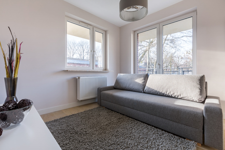 Living room with gray sofa, carpet and modern lampの写真素材