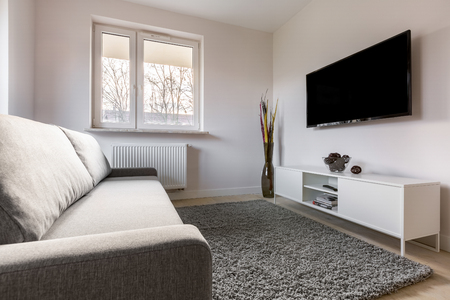 Cozy living room with tv, couch, carpet and cabinetの写真素材