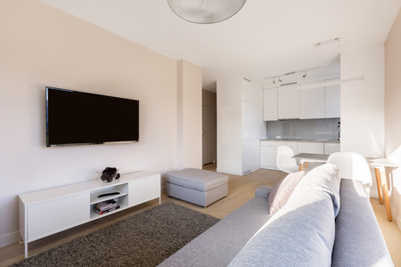 Studio flat with tv room and small kitchenの写真素材