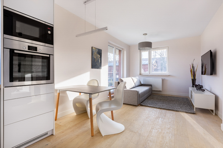 Modern studio flat with table, chairs, couch and tvの写真素材