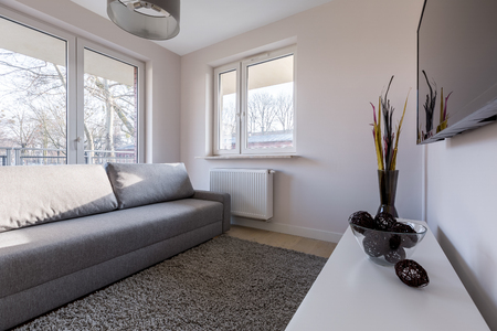 Tv living room with gray couch and carpetの写真素材