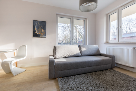 Home interior with gray couch and modern chairの写真素材