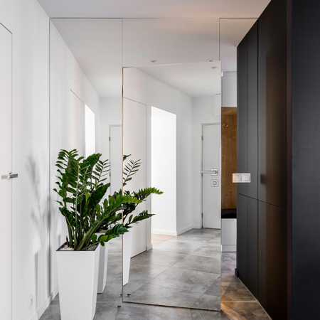 Black and white hall with mirrored wall and door and gray tile floorの写真素材