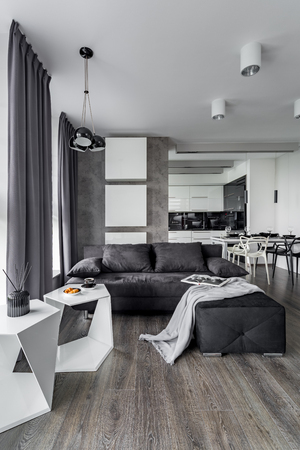 Apartment with gray sofa and new design white coffee tablesの写真素材