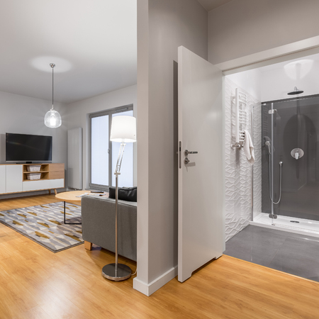 New designed flat with spacious living room and elegant bathroomの写真素材