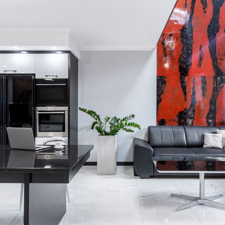 Modern black and white home with living room open to kitchenの写真素材