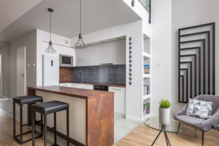 Apartment with functional open kitchen and modern wall radiator