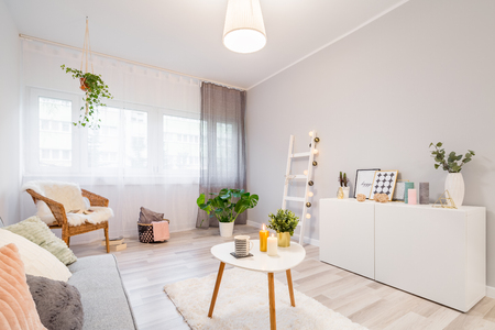 Pillows, frames, candles and plants decorating modern scandinavian living roomの写真素材