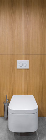Gray bathroom with toilet and decorative wooden wall, vertical panorama