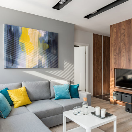 Living room with gray sofa, coffee table, tv and wooden wall
