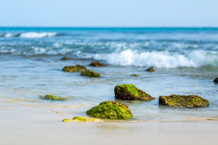 Rocks with green moss at the beach, blue ocean with waves in backgroundの写真素材