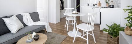 Panorama of studio apartment in white with kitchen open to living roomの写真素材