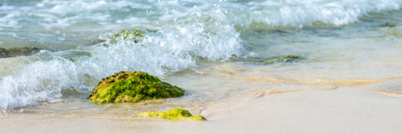 Panorama of rock with green moss in waves of blue ocean at exotic island in Cabo Verde, Cape Verde