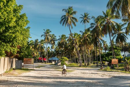 Street with palm trees in Jambiani town, Zanzibar island, Tanzaniaの写真素材