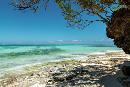 View of azure turquoise ocean and beach in tree shadow on Zanzibar islandの写真素材