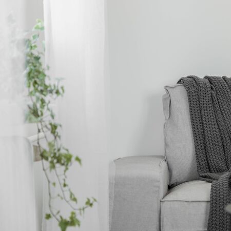 White living room with modern gray armchair and decorative plantの写真素材