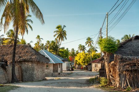 Empty street with palm trees in african village Jambiani, Zanzibar island, Tanzaniaの写真素材