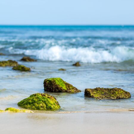 Close-up on rocks with green moss at the beach, blue ocean with waves in backgroundの写真素材